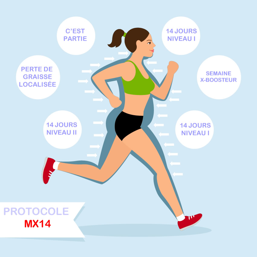 protocole mx14