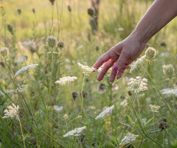 marche nature pour gérer le stress