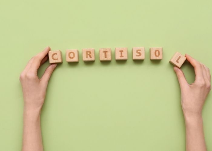 hormone cortisol stockage abdominal