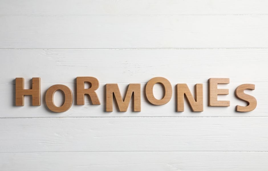 hormone et localisation graisse