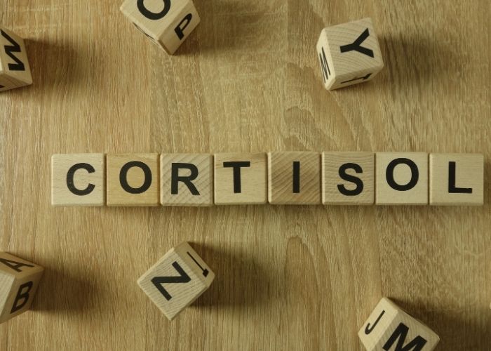 cortisol bloque la perte de poids cortisol bloque la perte de poids
