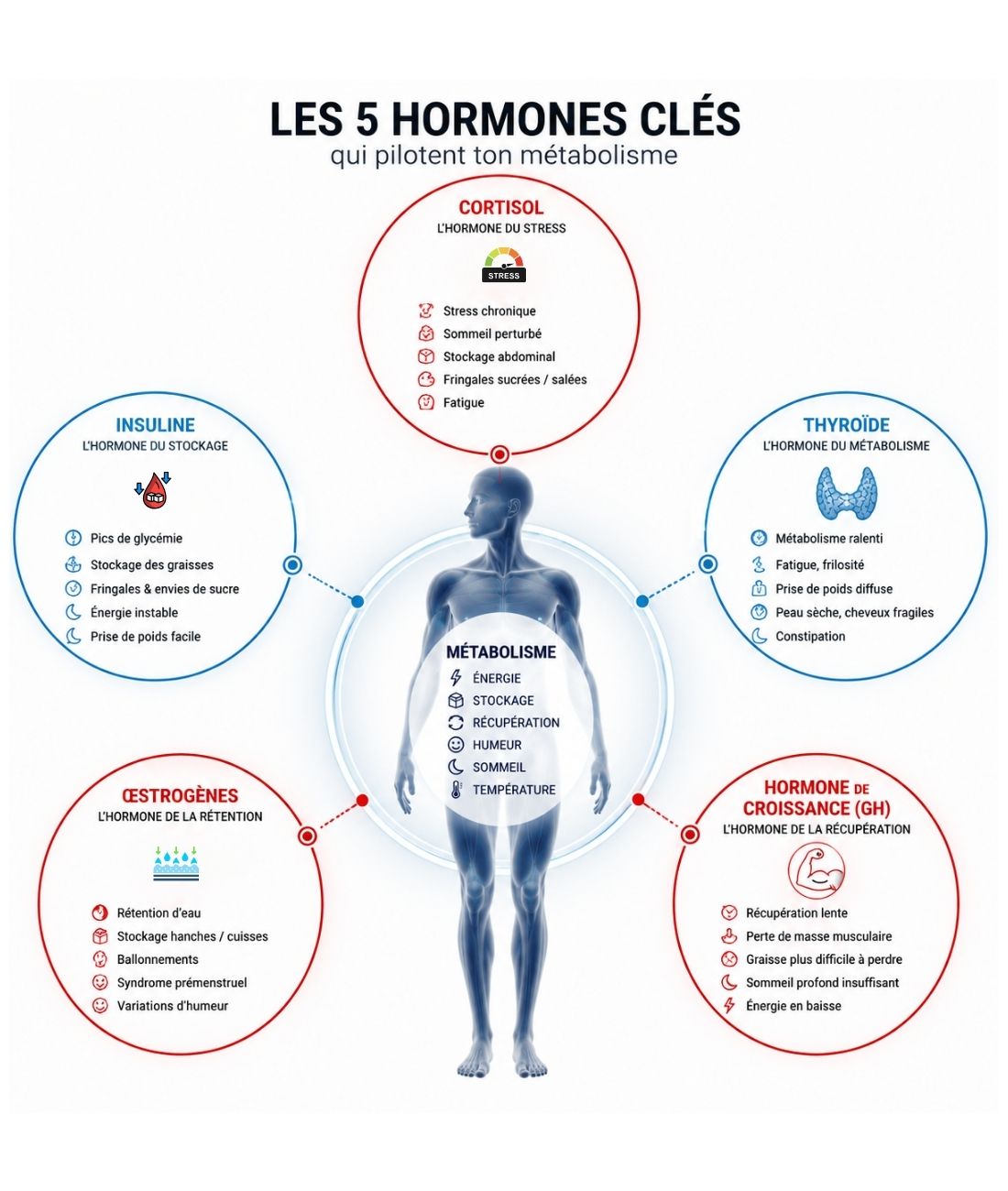 hormones et perte de poids hormones et perte de poids