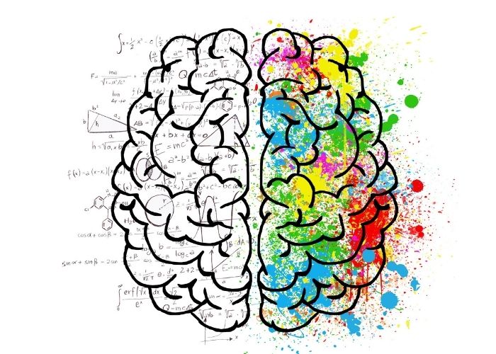 Cerveau plasticité neuronale transformation habitudes durables coaching Métabolique Nutrition Cerveau plasticité neuronale transformation habitudes durables coaching Métabolique Nutrition
