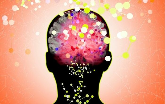 neuroscience et perte de poids