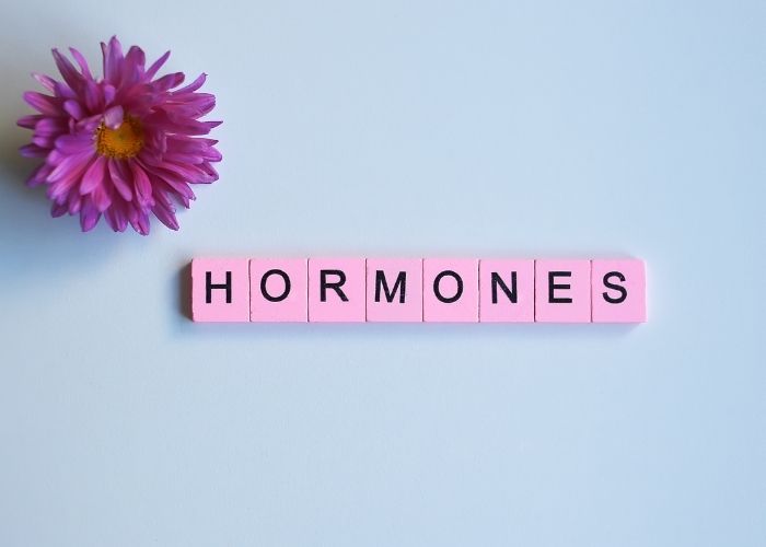 insuline SOPK androgènes ovaires métabolisme hormonal féminin